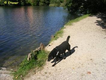 image063