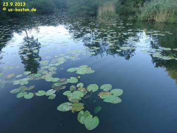 image105