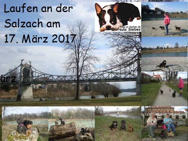 Laufen_170317_klein.JPG