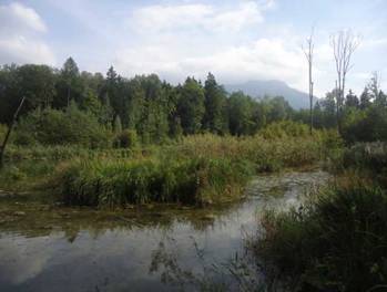 image016.jpg