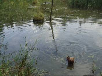 image020.jpg