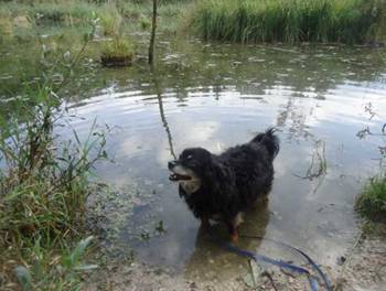 image024.jpg