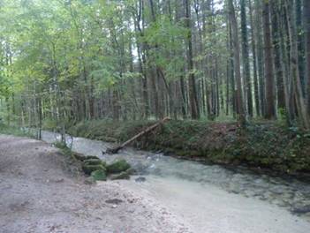 image040.jpg