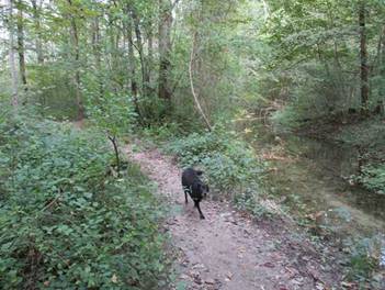 image031.jpg
