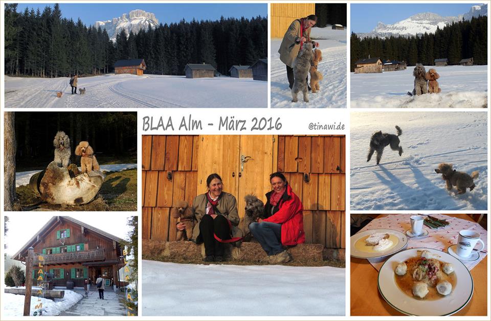 BLLA_Alm_160320.jpg