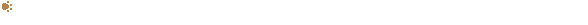 Hund_Pfoten