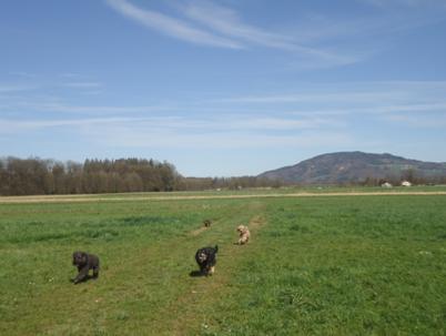 image005.jpg