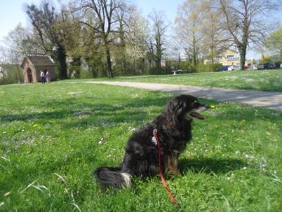 image012.jpg