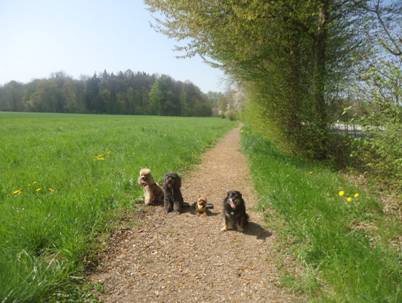 image038.jpg