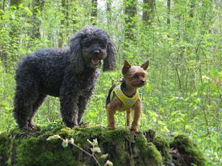 image076.jpg