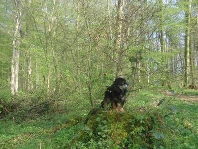 image086.jpg