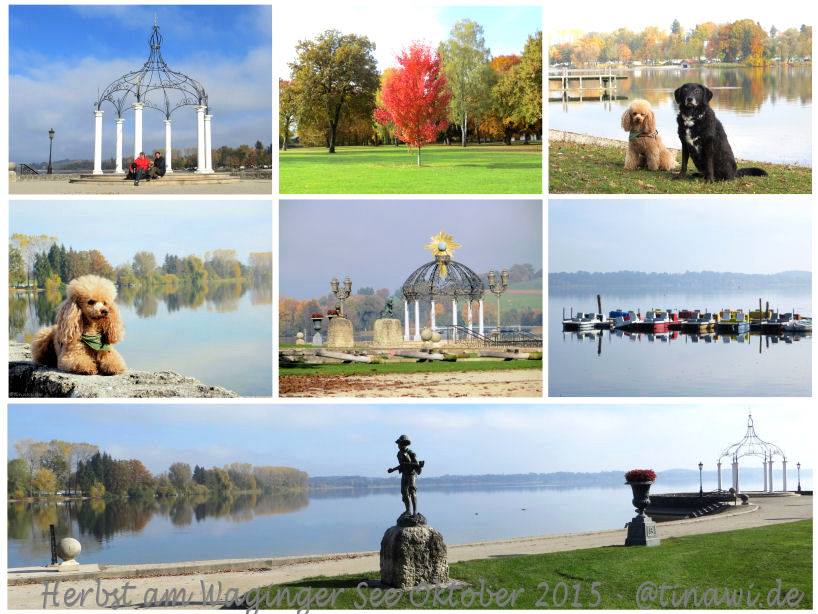 Waginger_See_151028.jpg